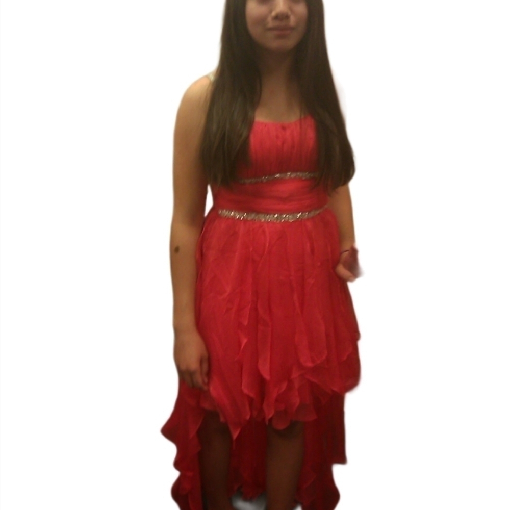 Flamingo Dress Medium orange/pink